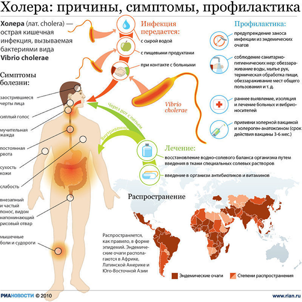 Холера презентация инфекционные болезни